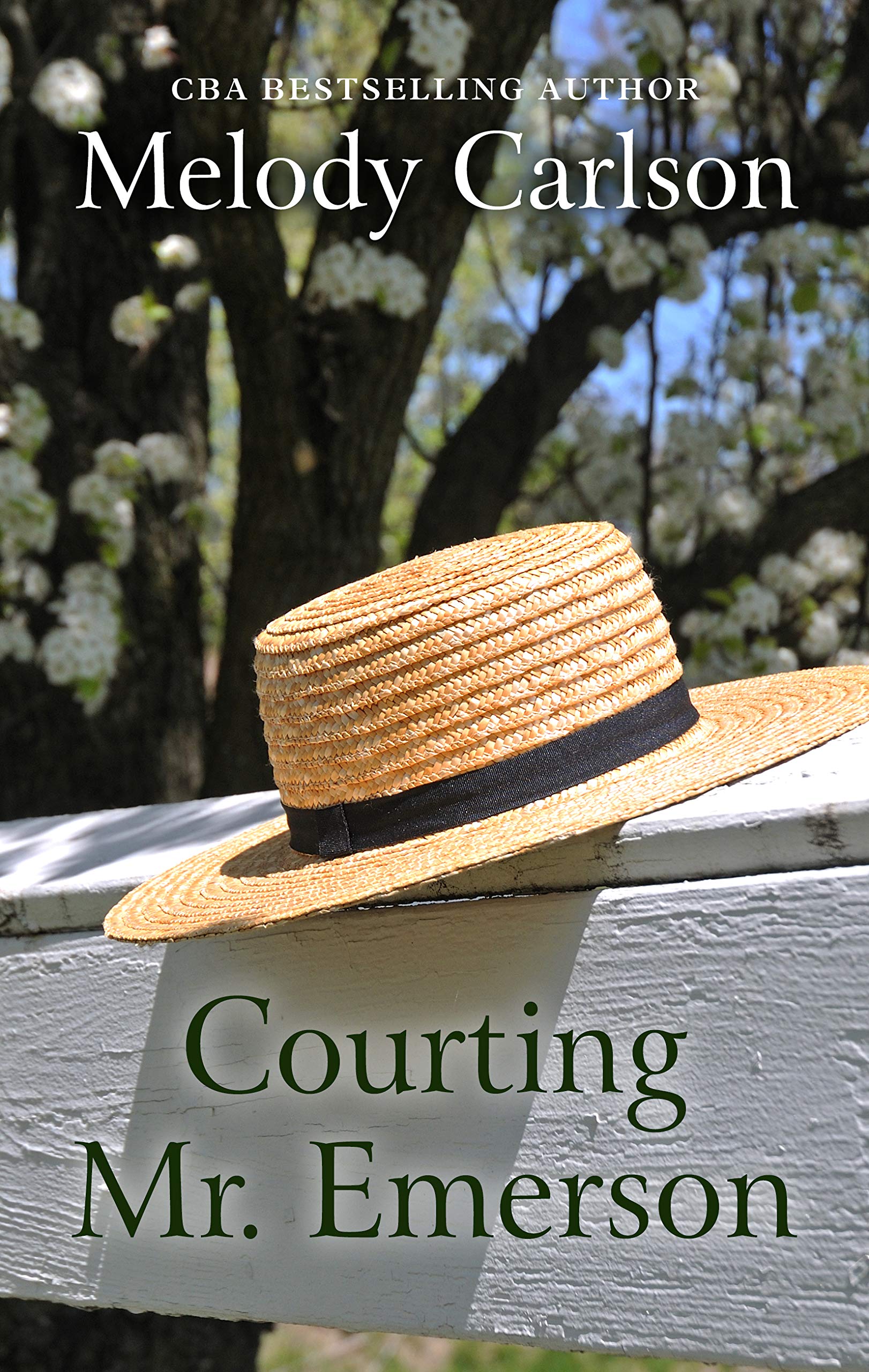 Courting Mr. Emerson (Thorndike Press Large Print Christian Fiction),Used
