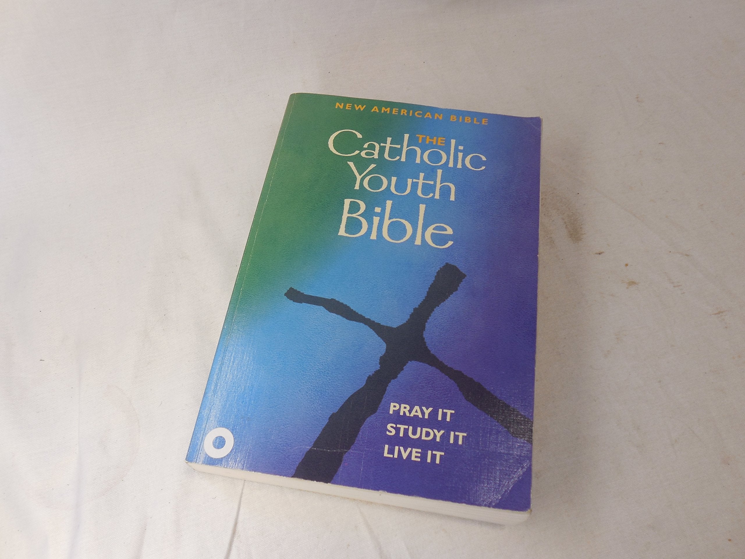 The Catholic Youth Bible: New American Bible Including the Revised Psalms and the Revised New Testament,Used