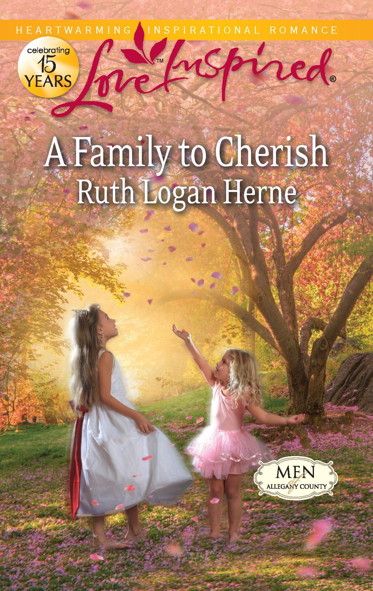 A Family to Cherish (Men of Allegany County, 5),Used