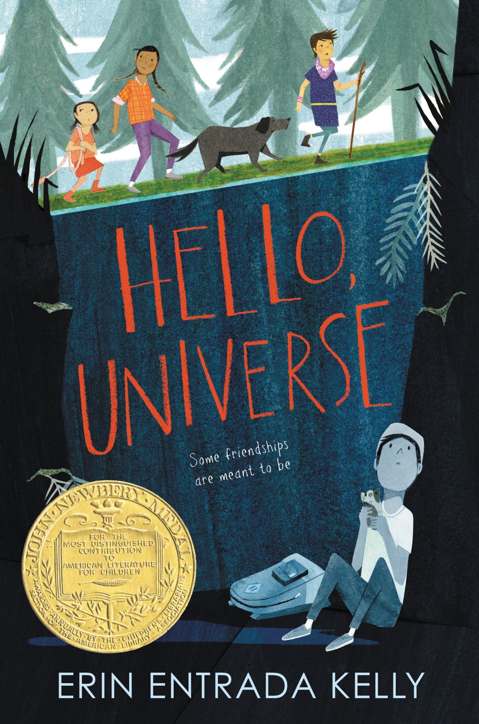 Hello, Universe: A Newbery Award Winner,Used