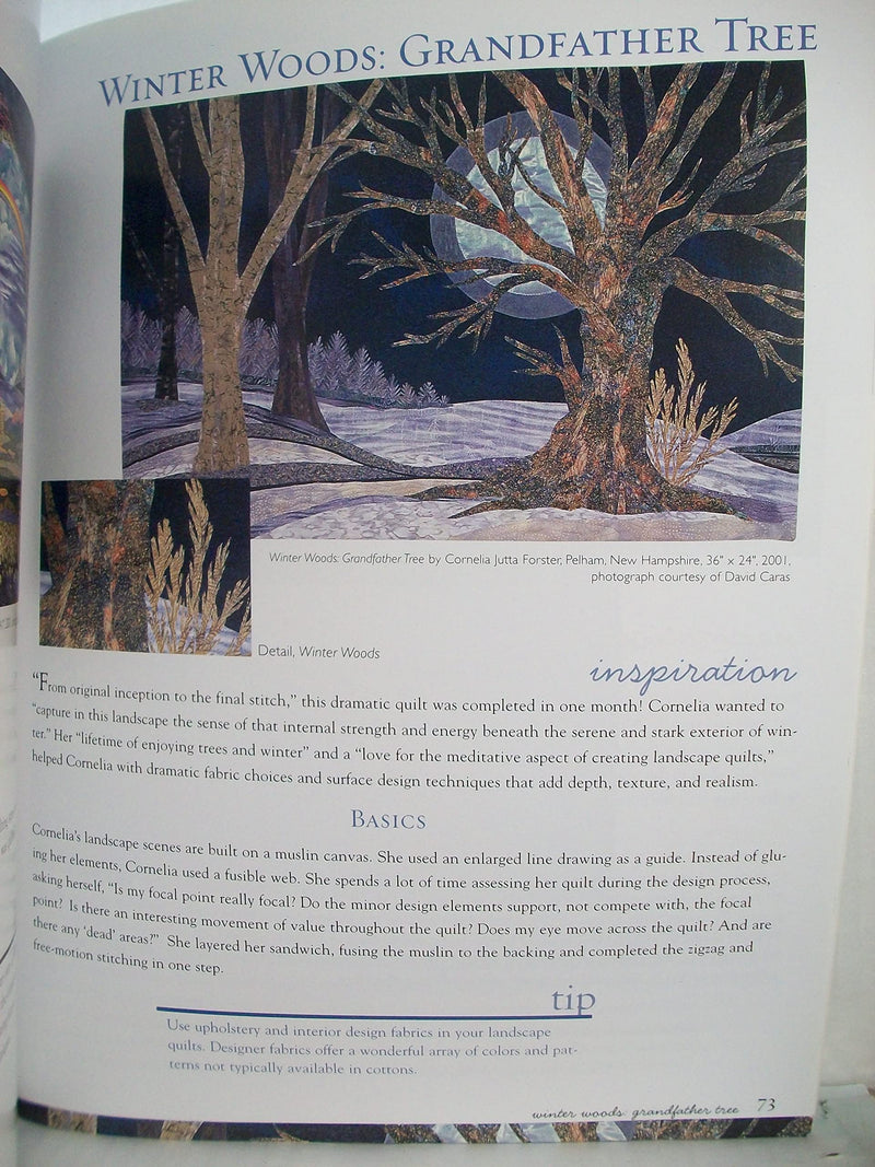 Luscious Landscapes: Simple Techniques for Dynamic Quilts,Used