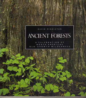 Ancient Forests
