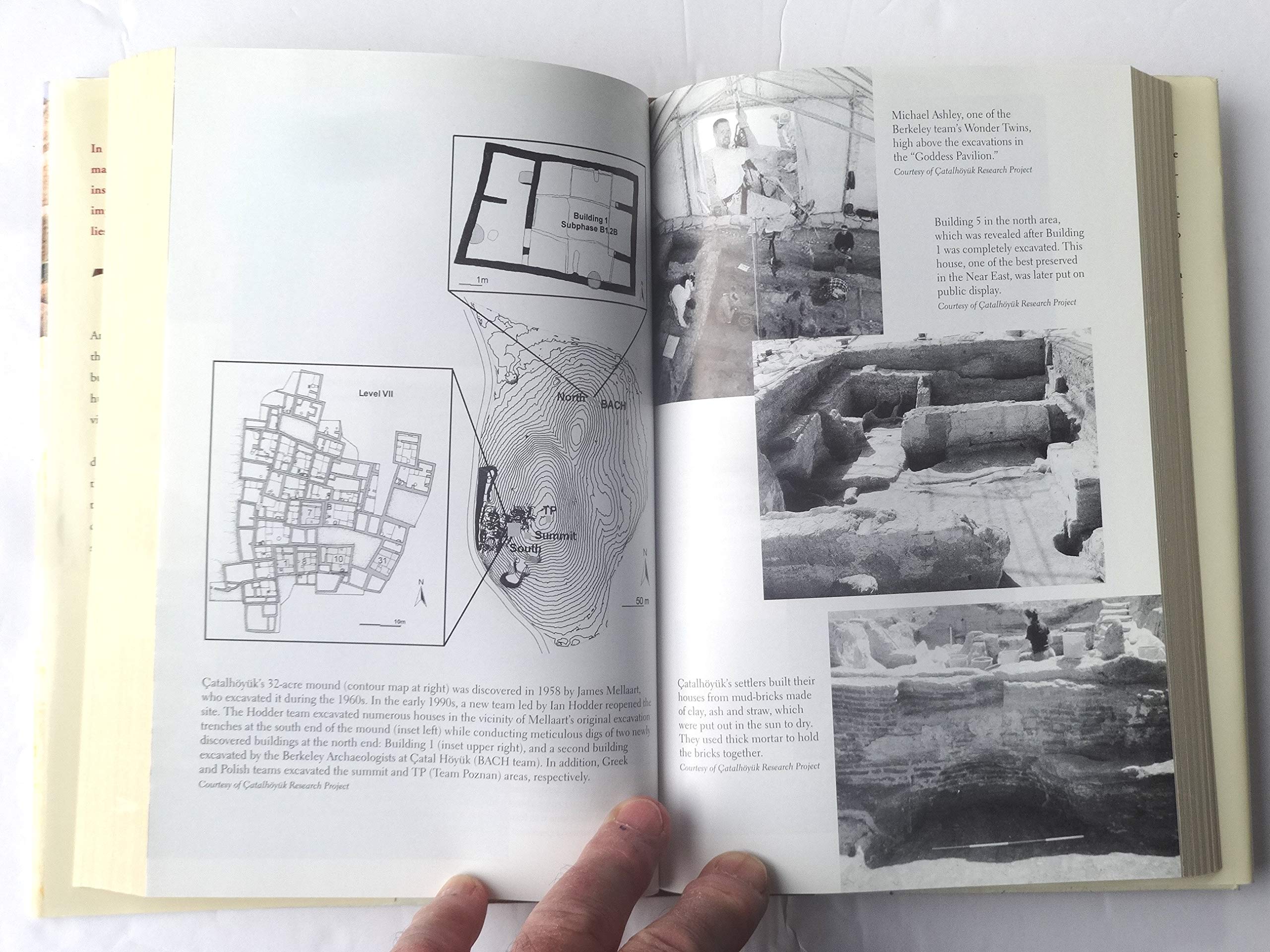 The Goddess and the Bull: Catalhoyuk: An Archaeological Journey to the Dawn of Civilization,New