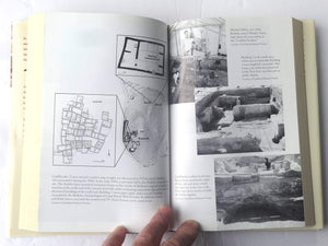 The Goddess and the Bull: Catalhoyuk: An Archaeological Journey to the Dawn of Civilization,New