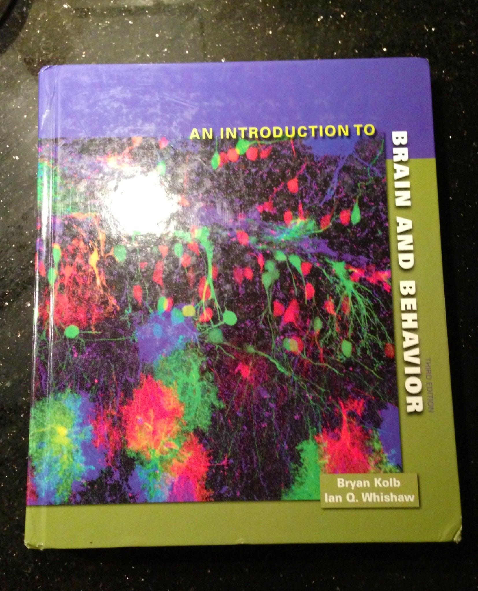 An Introduction To Brain And Behavior, Third Edition,New