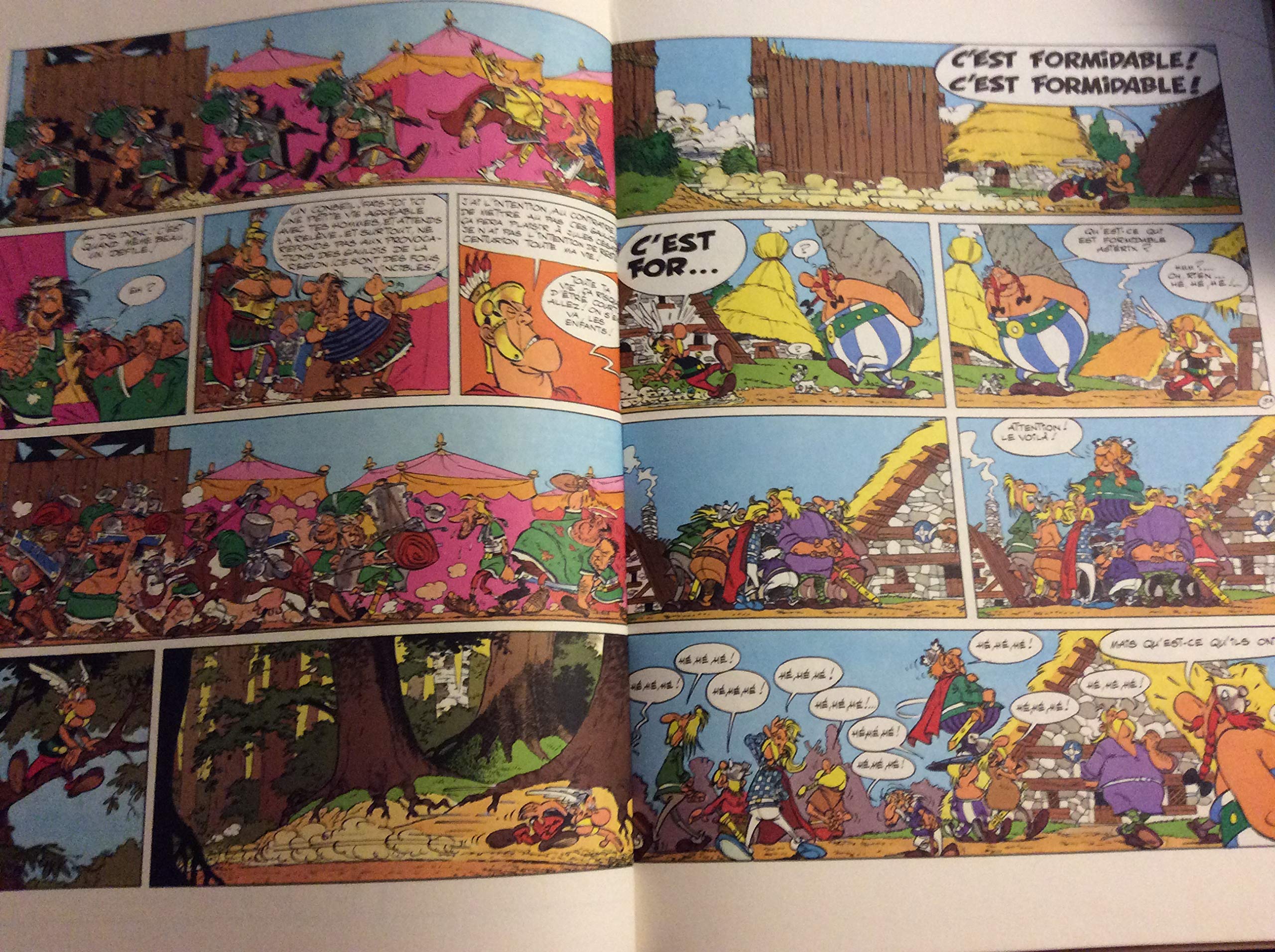 Obelix et Compagnie (Une Aventure d'Asterix) (French Edition),Used