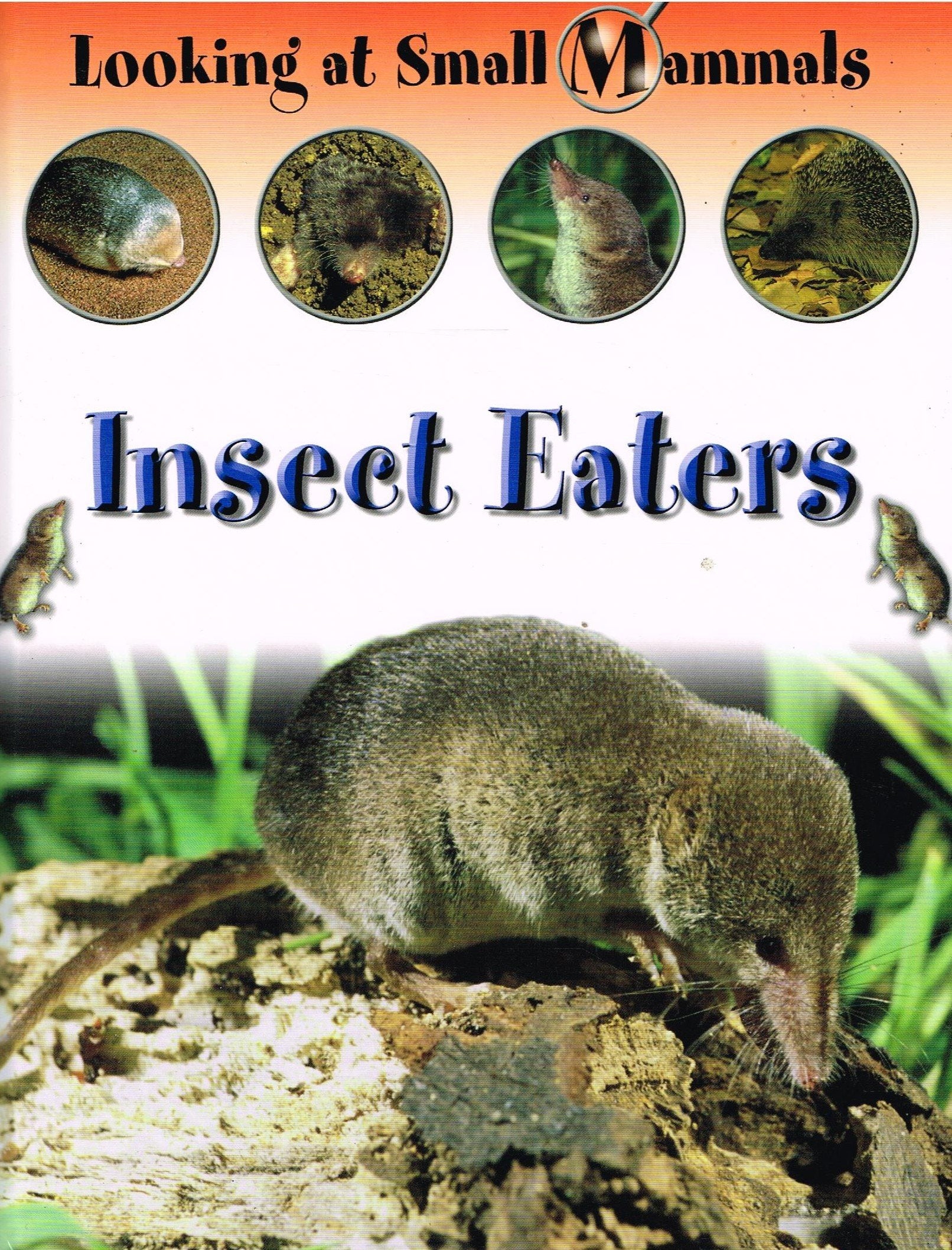 Insect Eaters (Looking at Small Mammals),Used