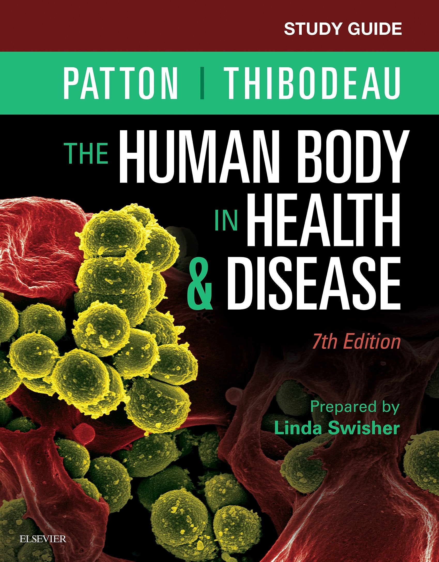 Study Guide For The Human Body In Health & Disease