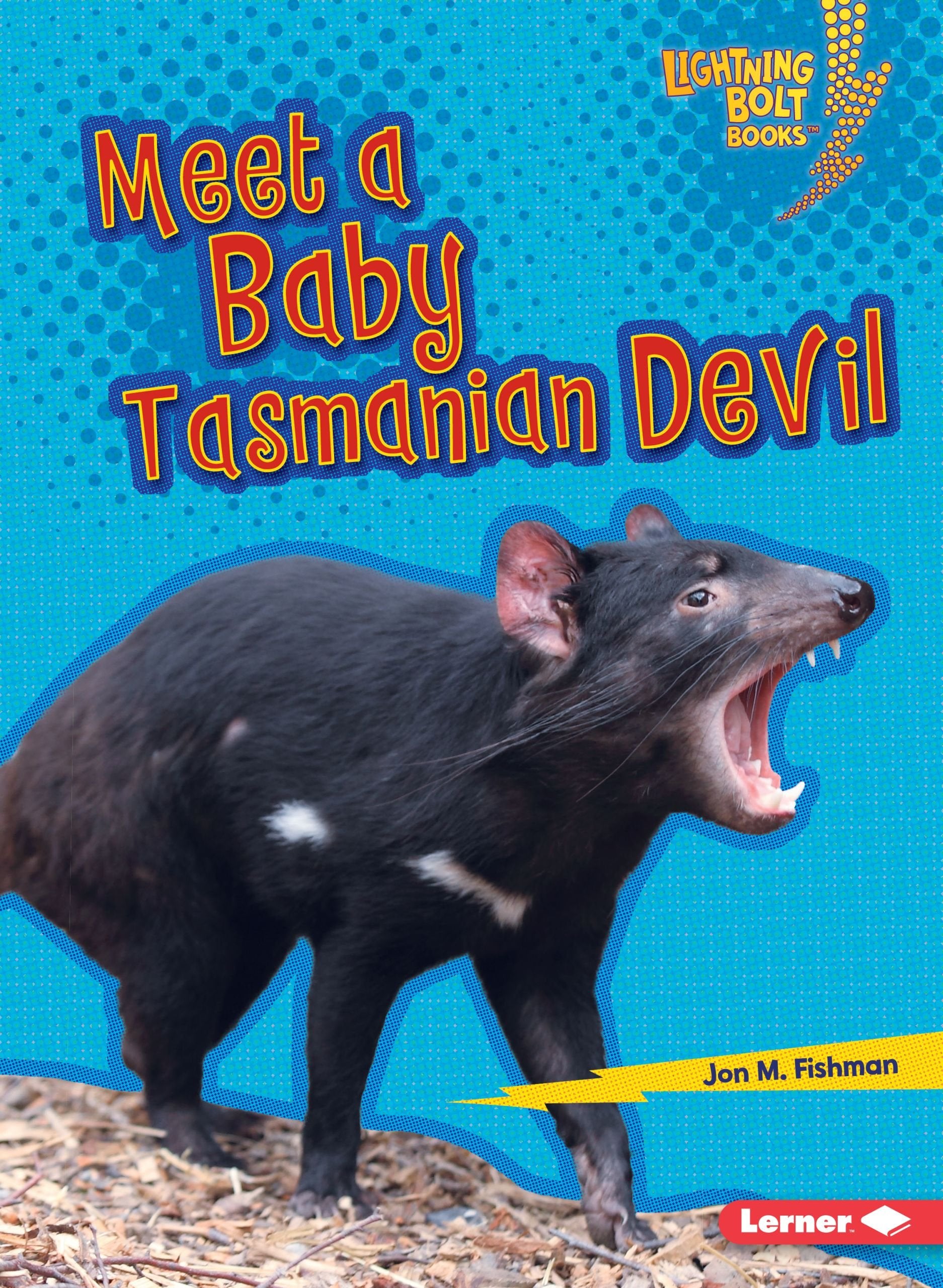 Meet a Baby Tasmanian Devil (Lightning Bolt Books   Baby Australian Animals),Used