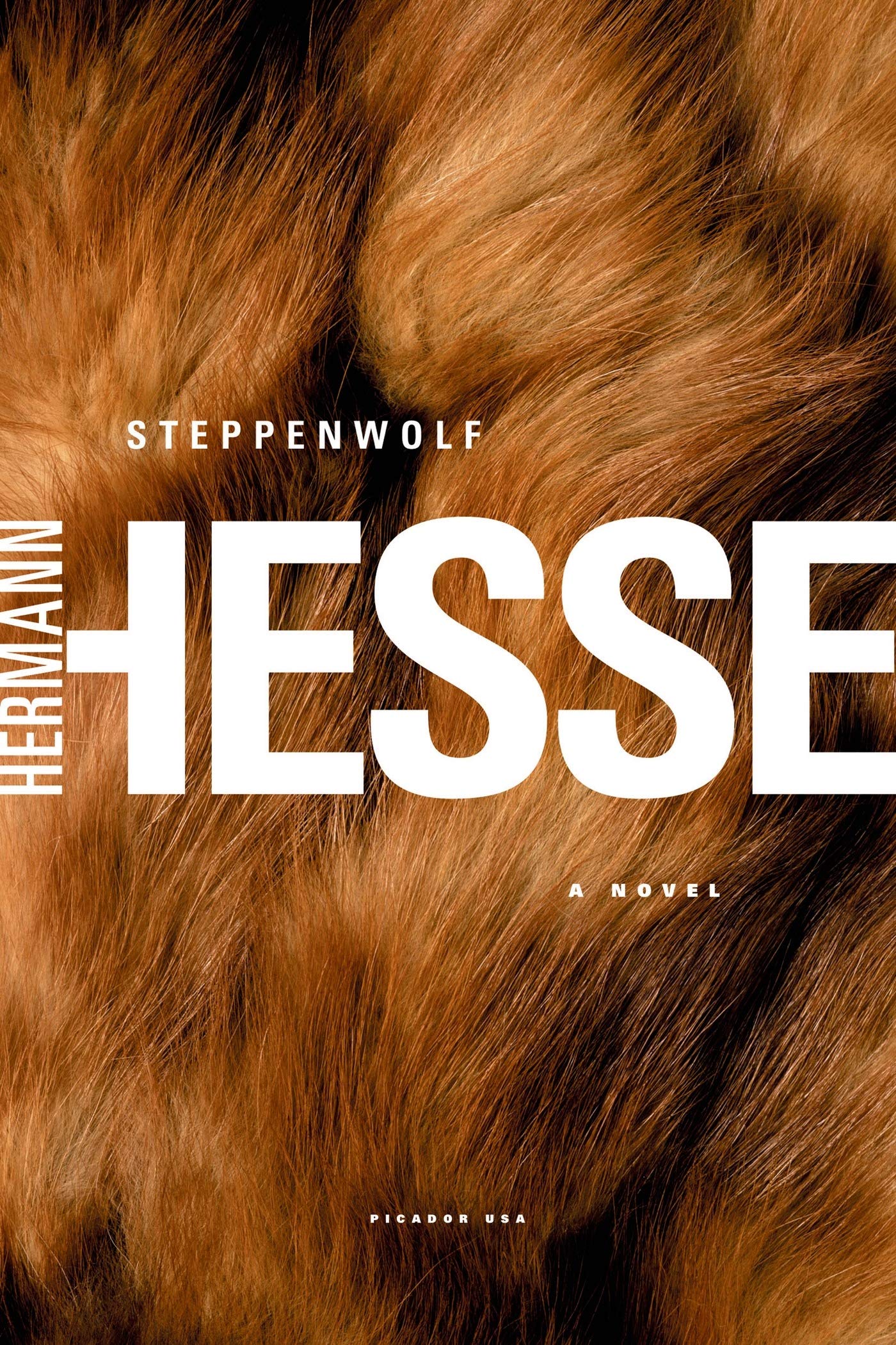 Steppenwolf: A Novel,Used
