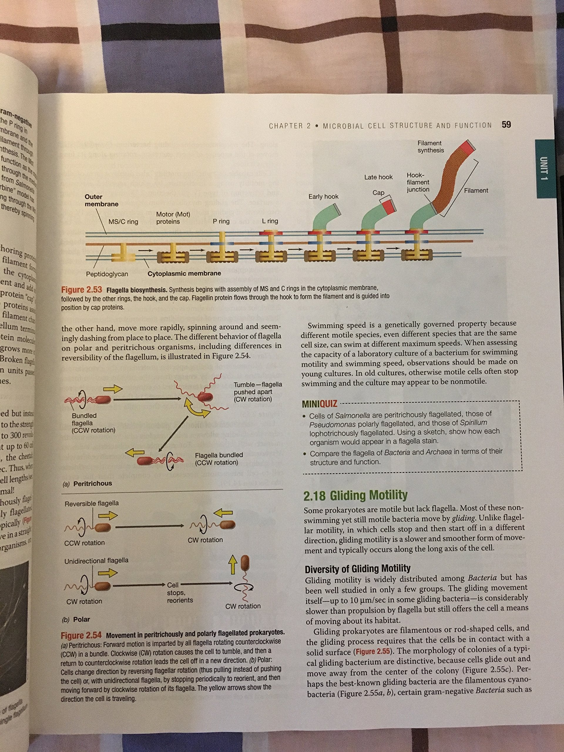 Brock Biology Of Microorganisms (14Th Edition),Used