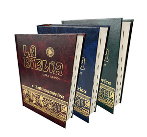 La Biblia Latinoamericana Letra Grande Cartone con Uneros Spanish Edition Assorted Colors,Used