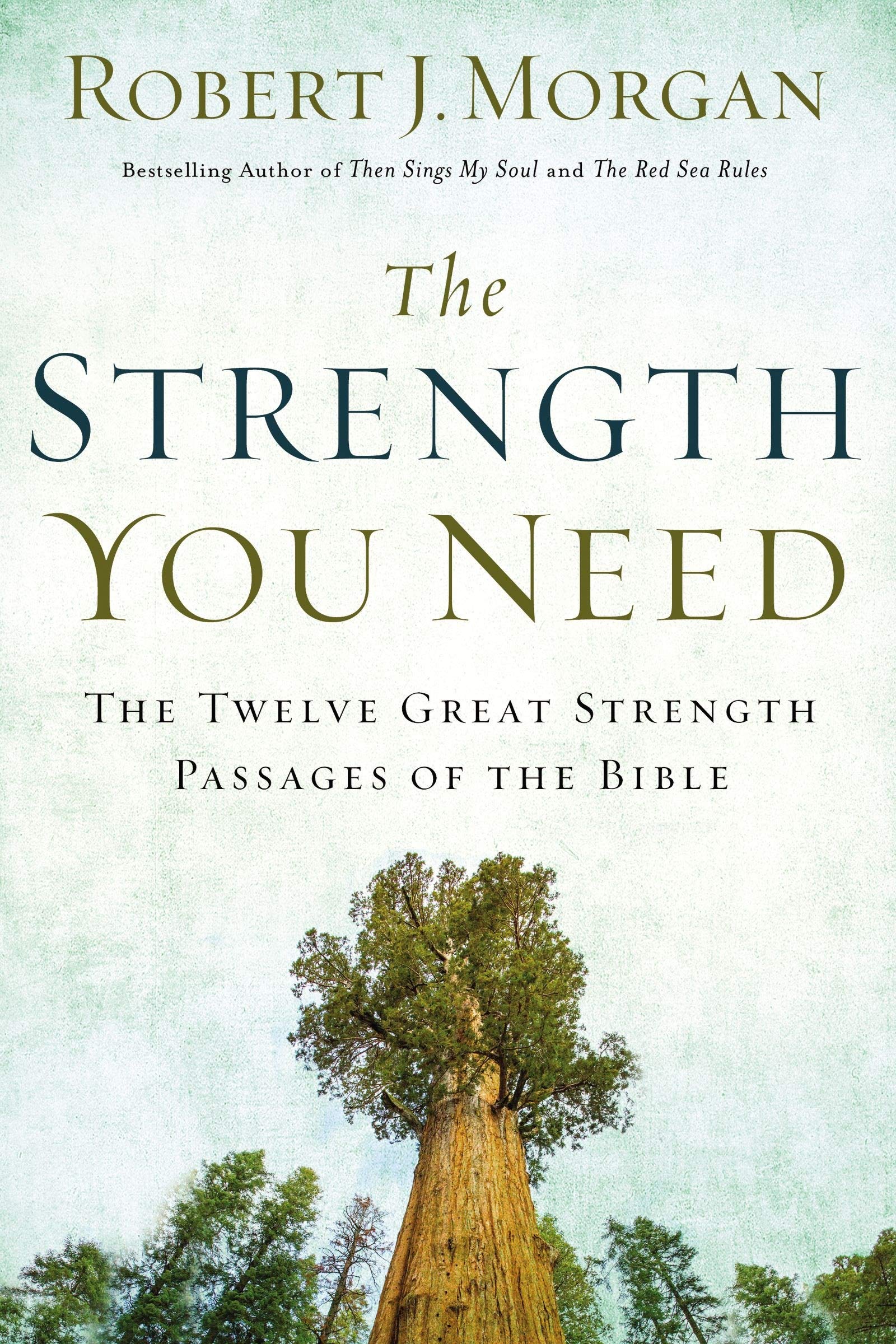 The Strength You Need: The Twelve Great Strength Passages of the Bible,New