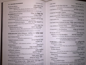 Siddur: ArtScroll Transliterated Linear : Weekday,New
