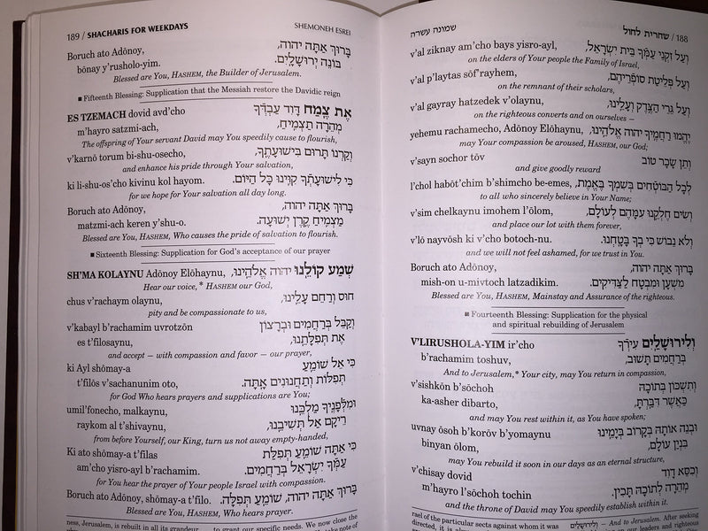 Siddur: ArtScroll Transliterated Linear : Weekday,New