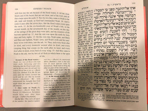 Genesis: A New English Translation Volume I(Mikraot Gedolot) (Mikraot Gedolot) (English and Hebrew Edition),Used