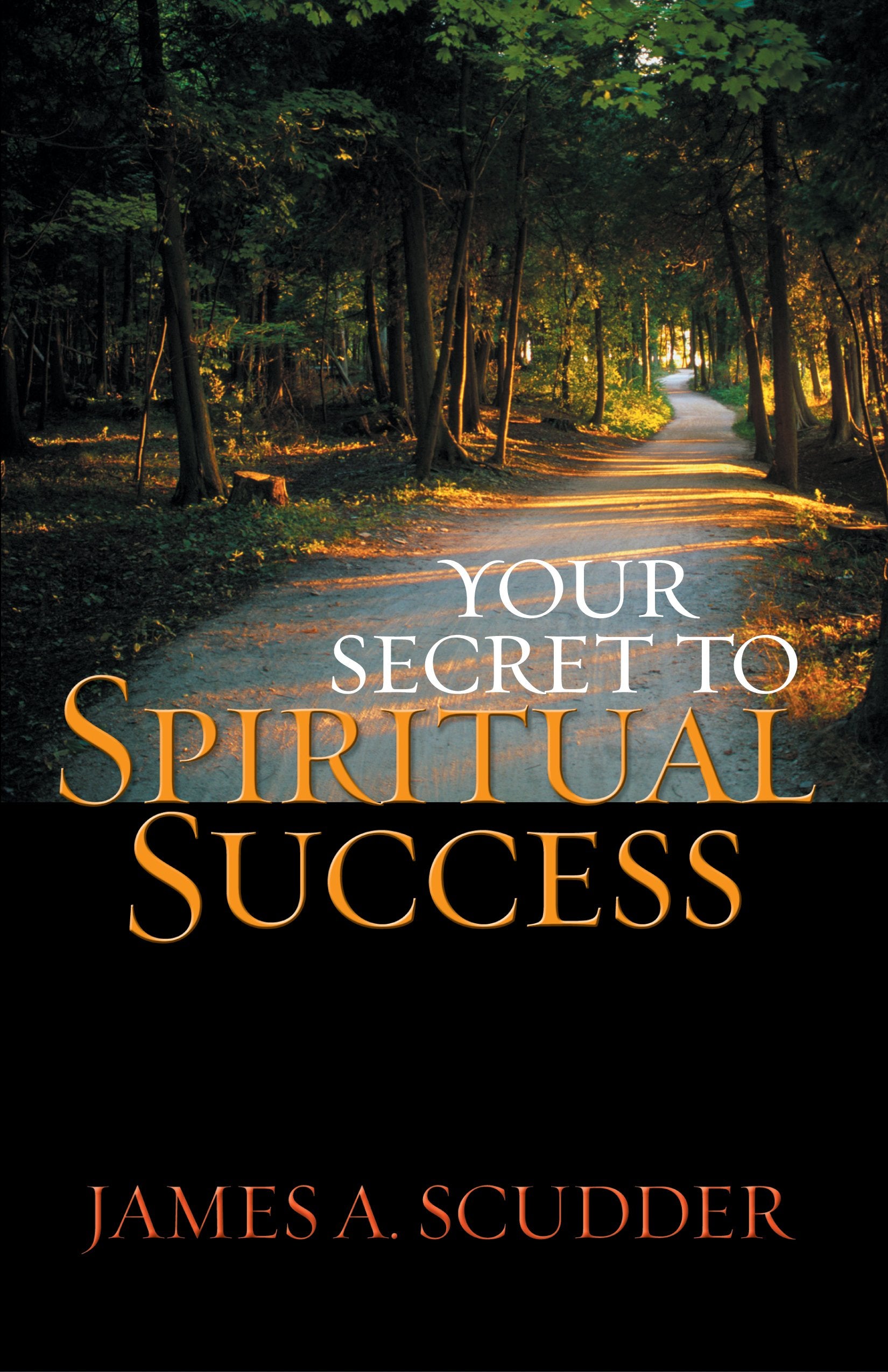 Your Secret to Spiritual Success,Used