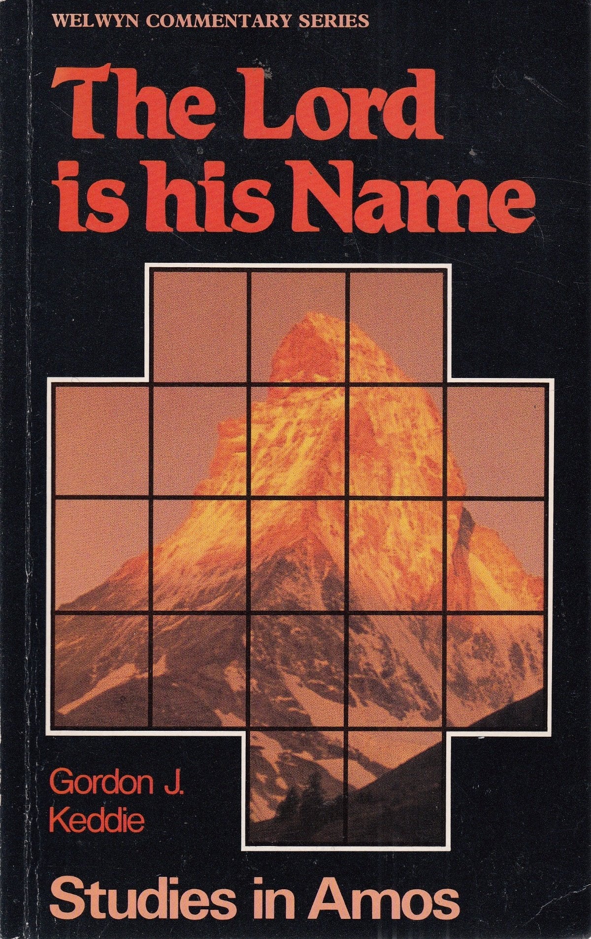 Amos: The Lord Is His Name (Welwyn Commentary),Used