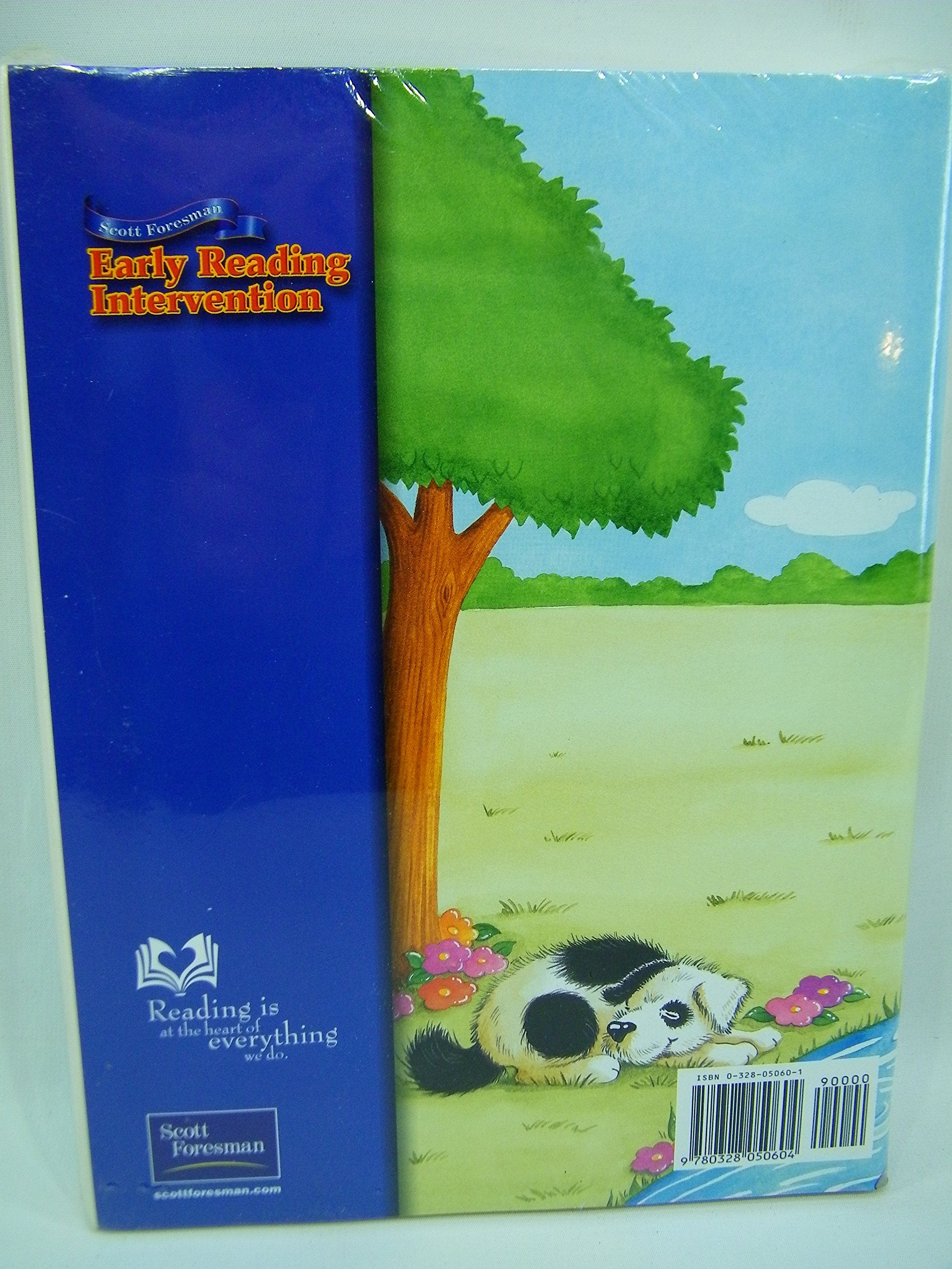 Early Reading Intervention Student Activity Book Part 4,Used