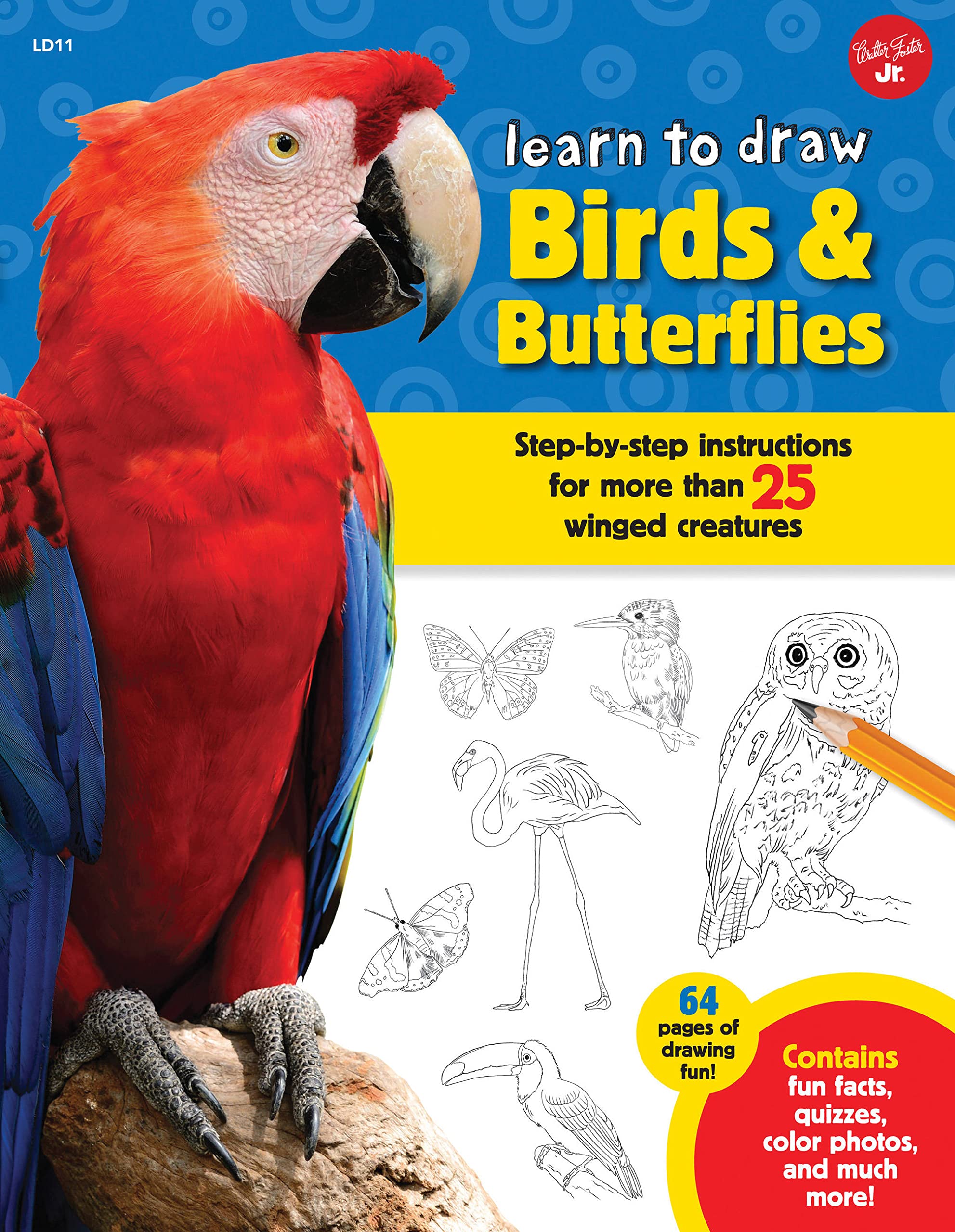 Learn To Draw Birds & Butterflies