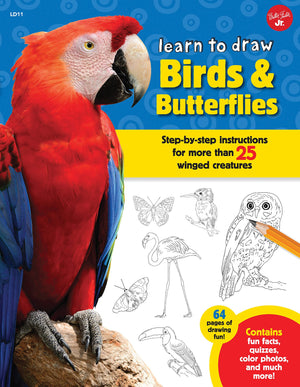 Learn To Draw Birds & Butterflies