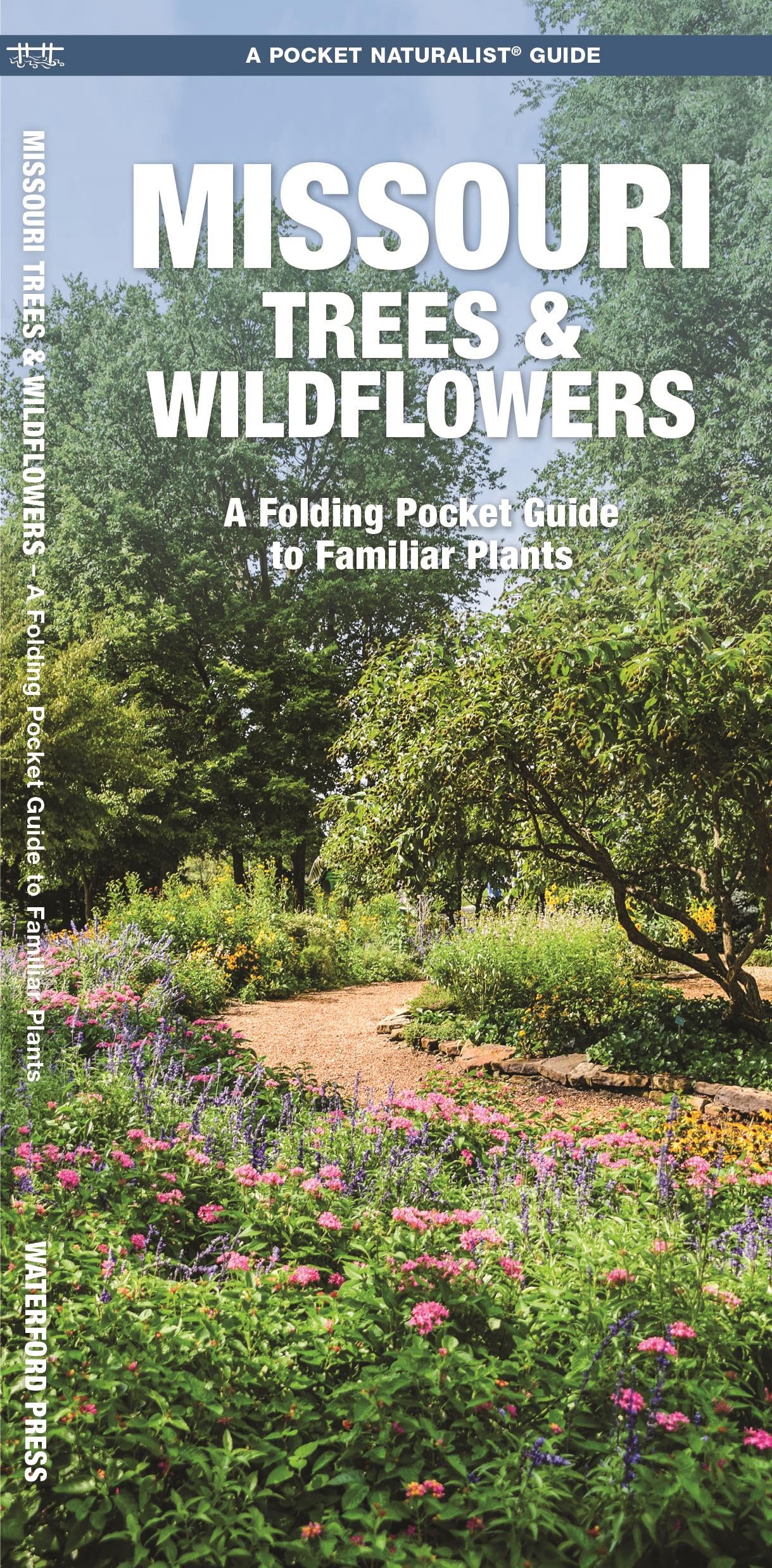 Missouri Trees & Wildflowers: A Folding Pocket Guide to Familiar Plants (Pocket Naturalist Guides),Used