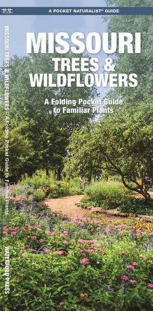 Missouri Trees & Wildflowers: A Folding Pocket Guide to Familiar Plants (Pocket Naturalist Guides),Used