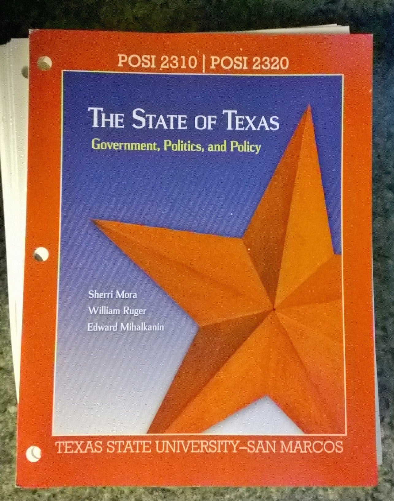 The State of Texas: Government, Politics, and Policy,Used