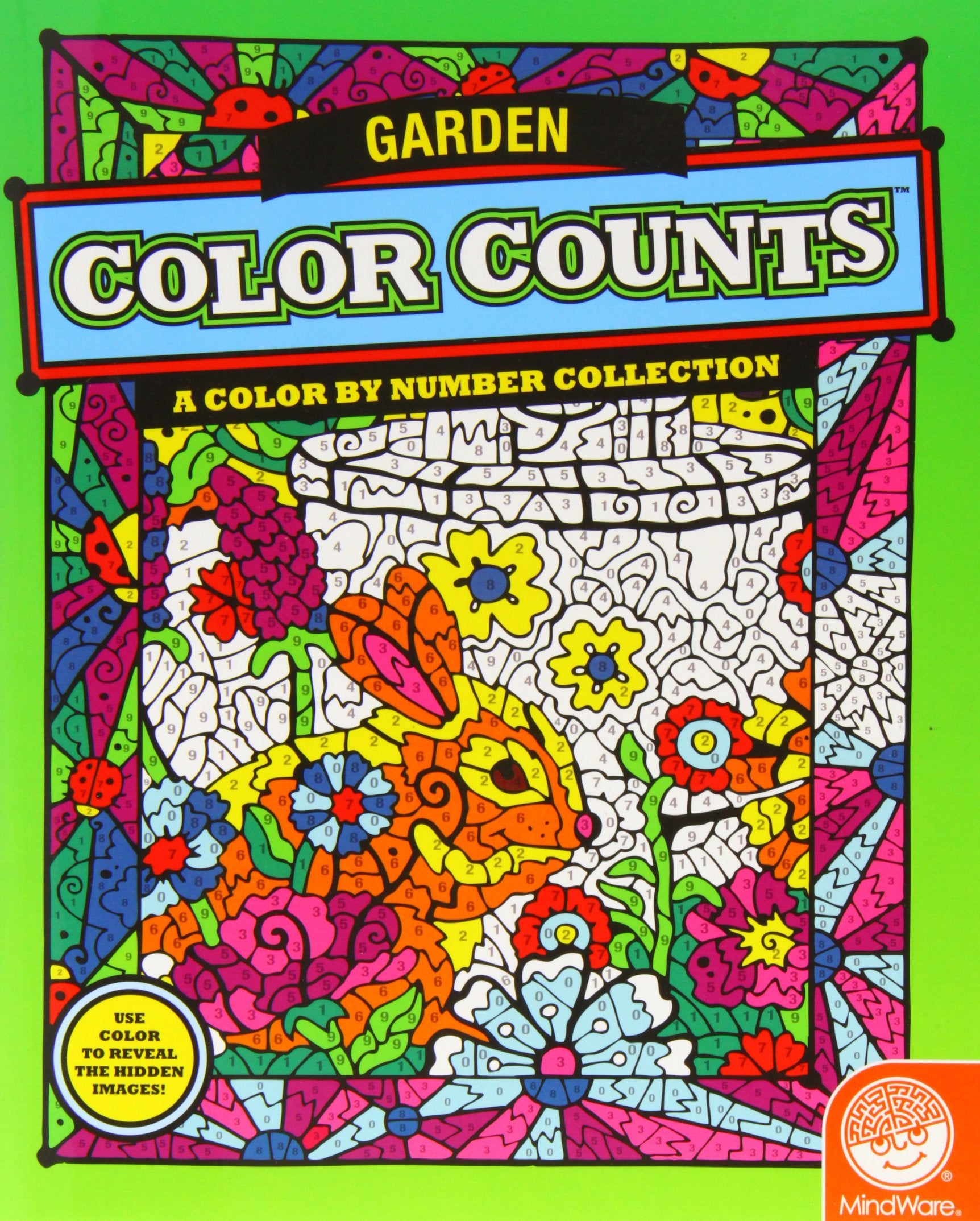 Color Counts: Garden Game,Used