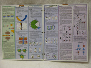 Biology (Quickstudy Reference Guides  Academic),Used