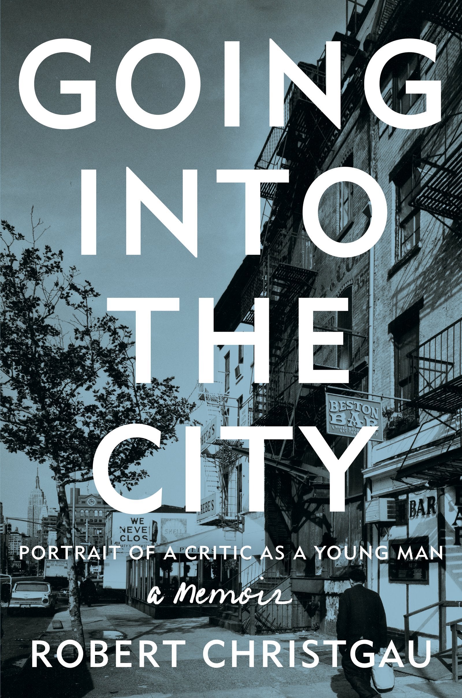 Going into the City: Portrait of a Critic as a Young Man,Used