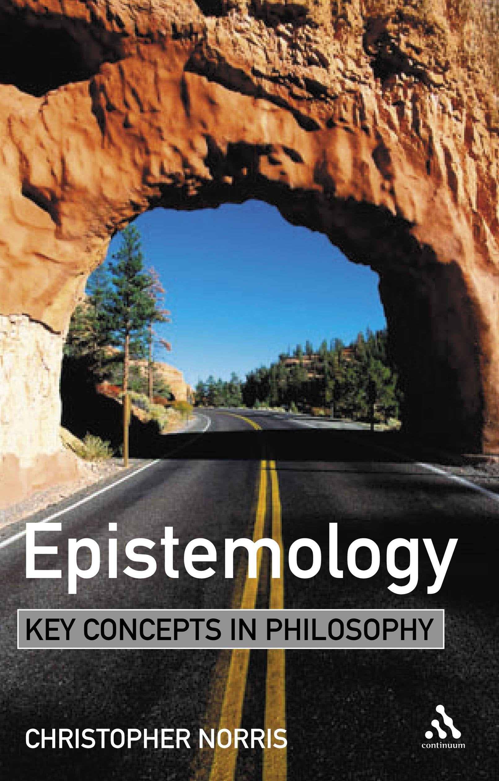 Epistemology: Key Concepts in Philosophy,Used