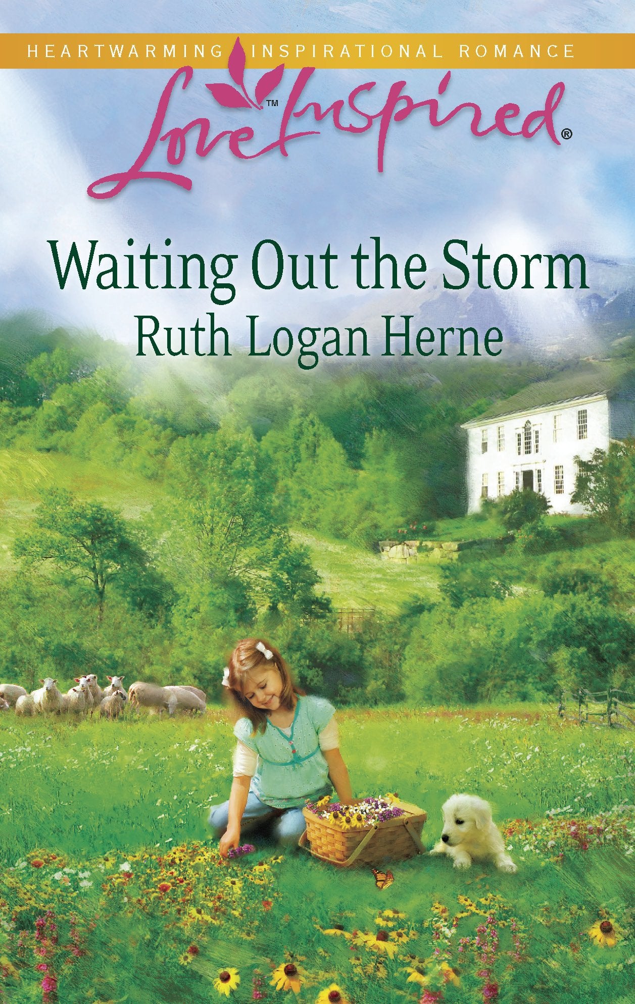 Waiting Out the Storm (Love Inspired),Used
