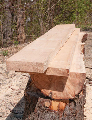 Homeowner's Complete Guide to the Chainsaw: A Chainsaw Pro Shows You How to Safely and Confidently Handle Everything from Trimmi,Used