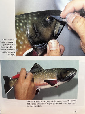 How to Paint Trout (Fish Carving Basics),Used