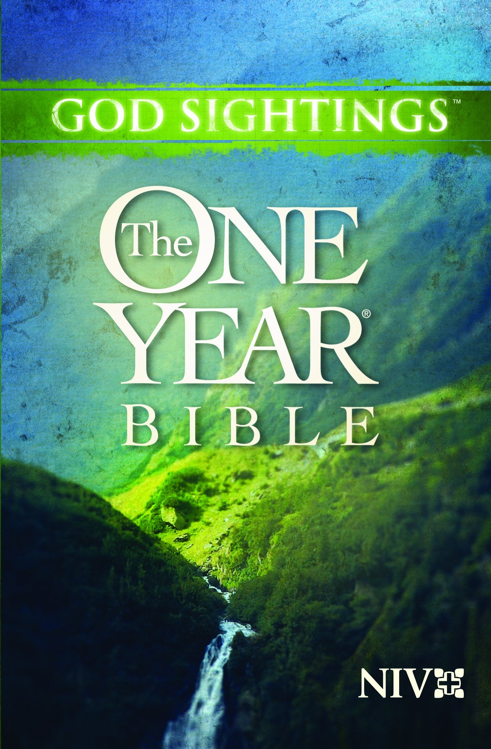 God Sightings, the One Year Bible: New International Version,Used