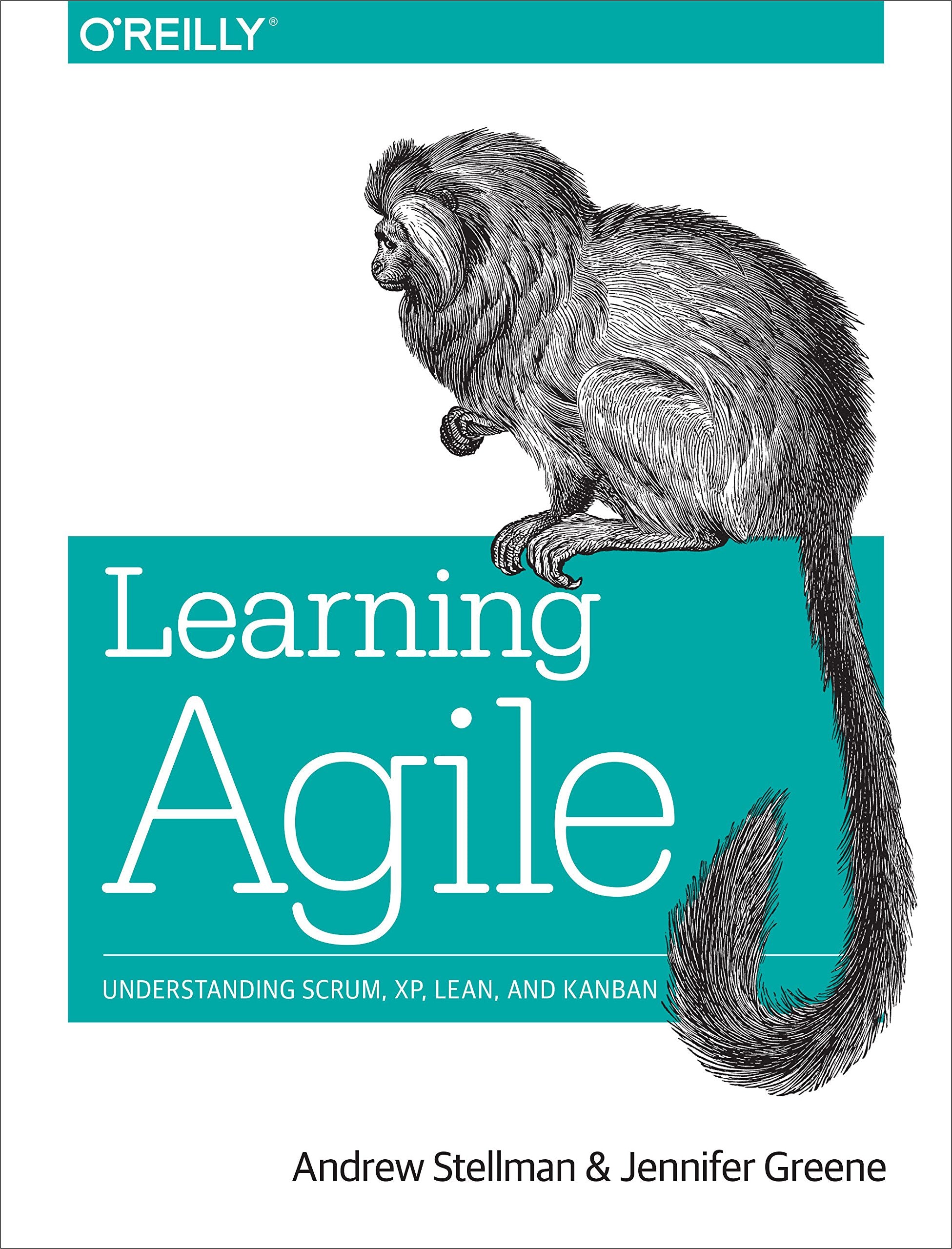 Learning Agile: Understanding Scrum, XP, Lean, and Kanban,Used