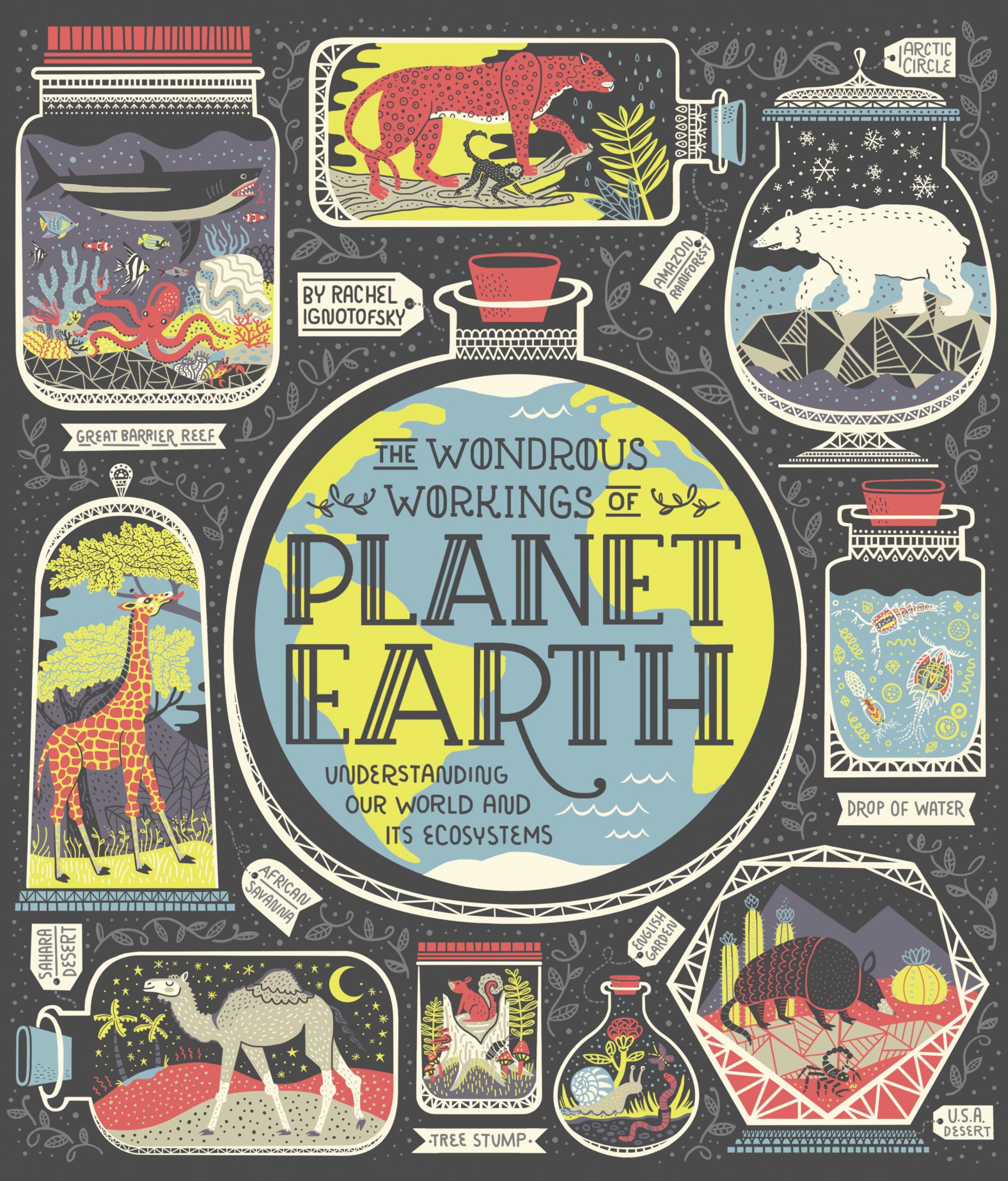 The Wondrous Workings of Planet Earth: Understanding Our World and Its Ecosystems,Used