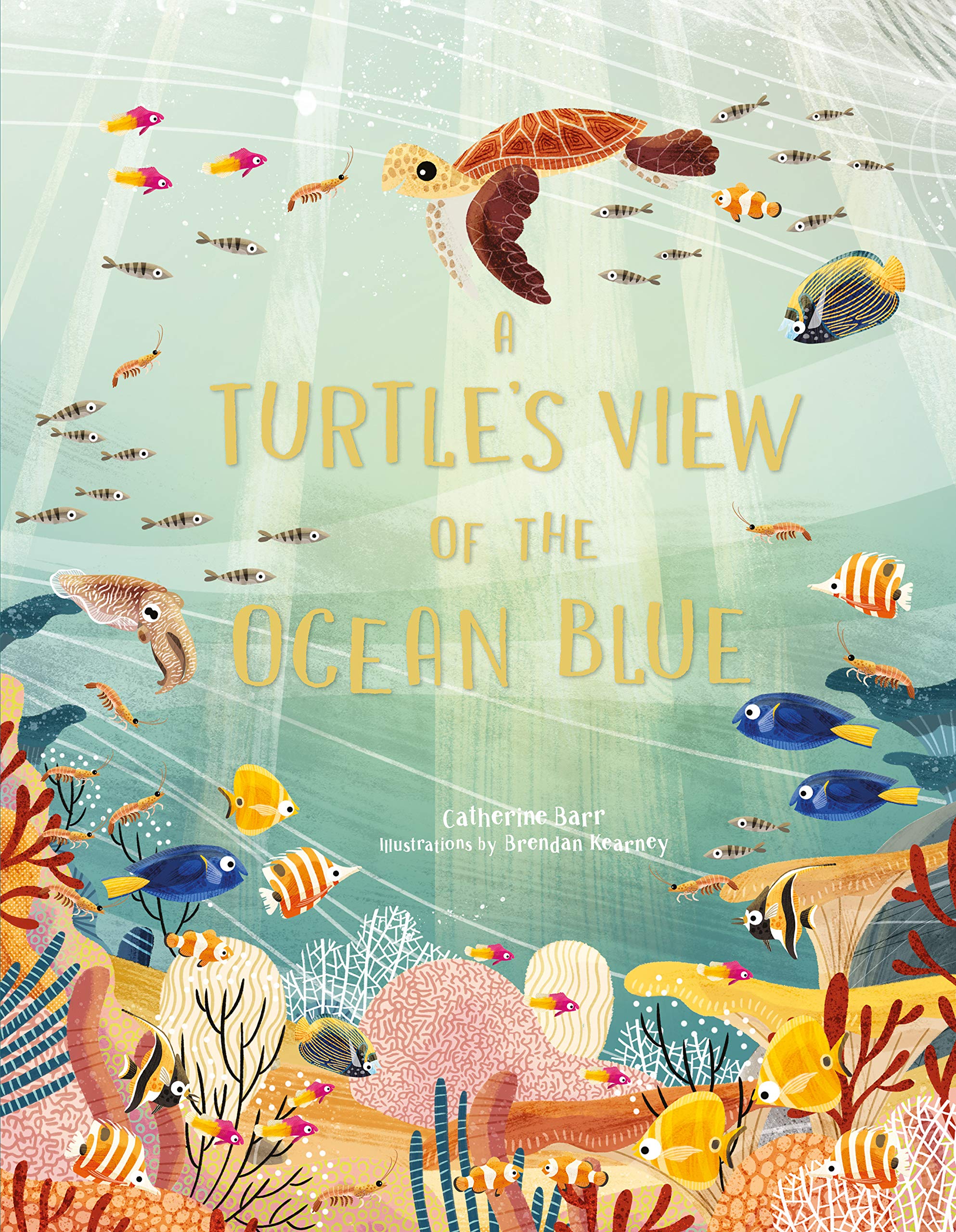 A Turtle'S View Of The Ocean Blue