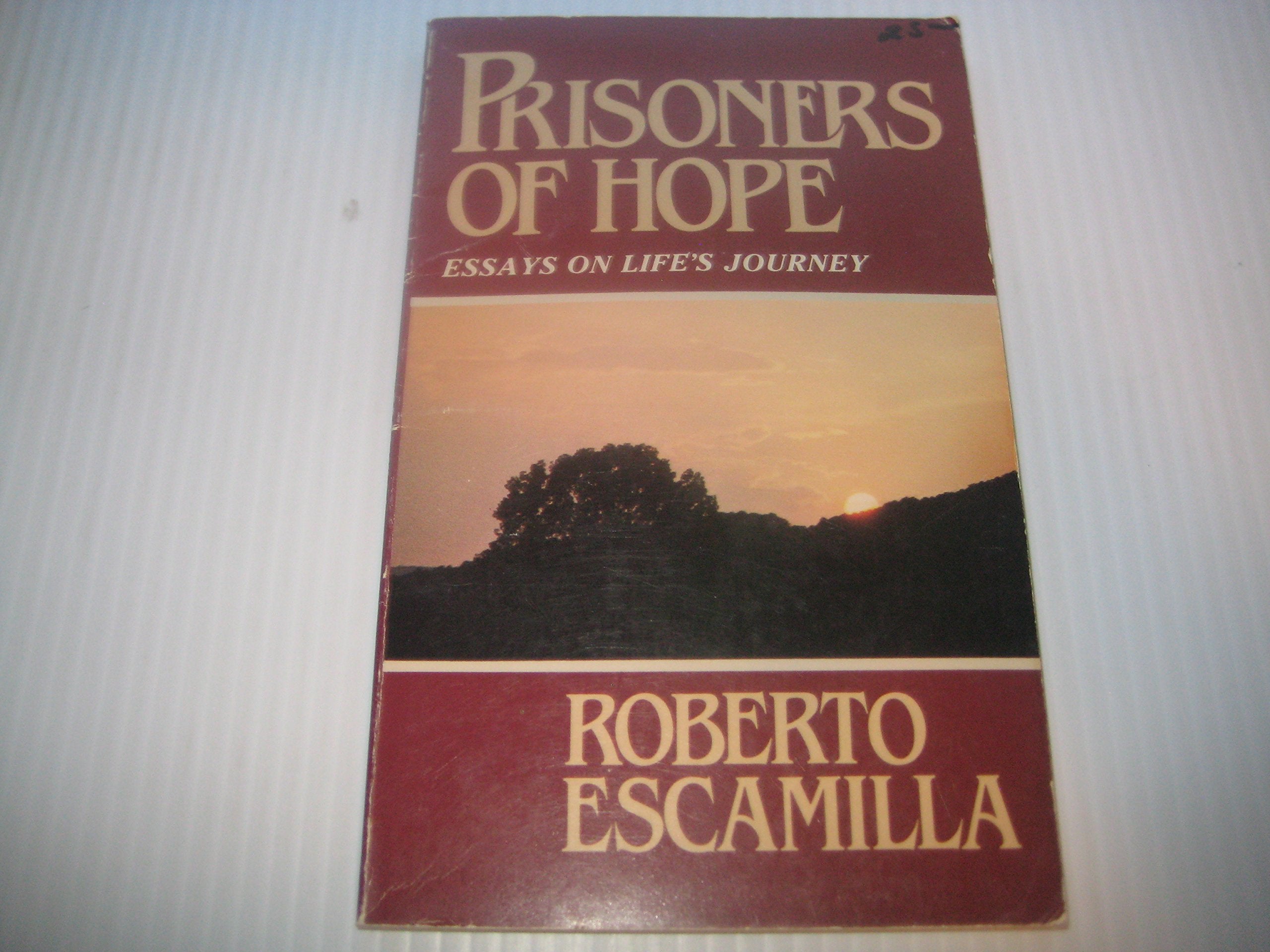 Prisoners of Hope: Essays on Life's Journey,Used