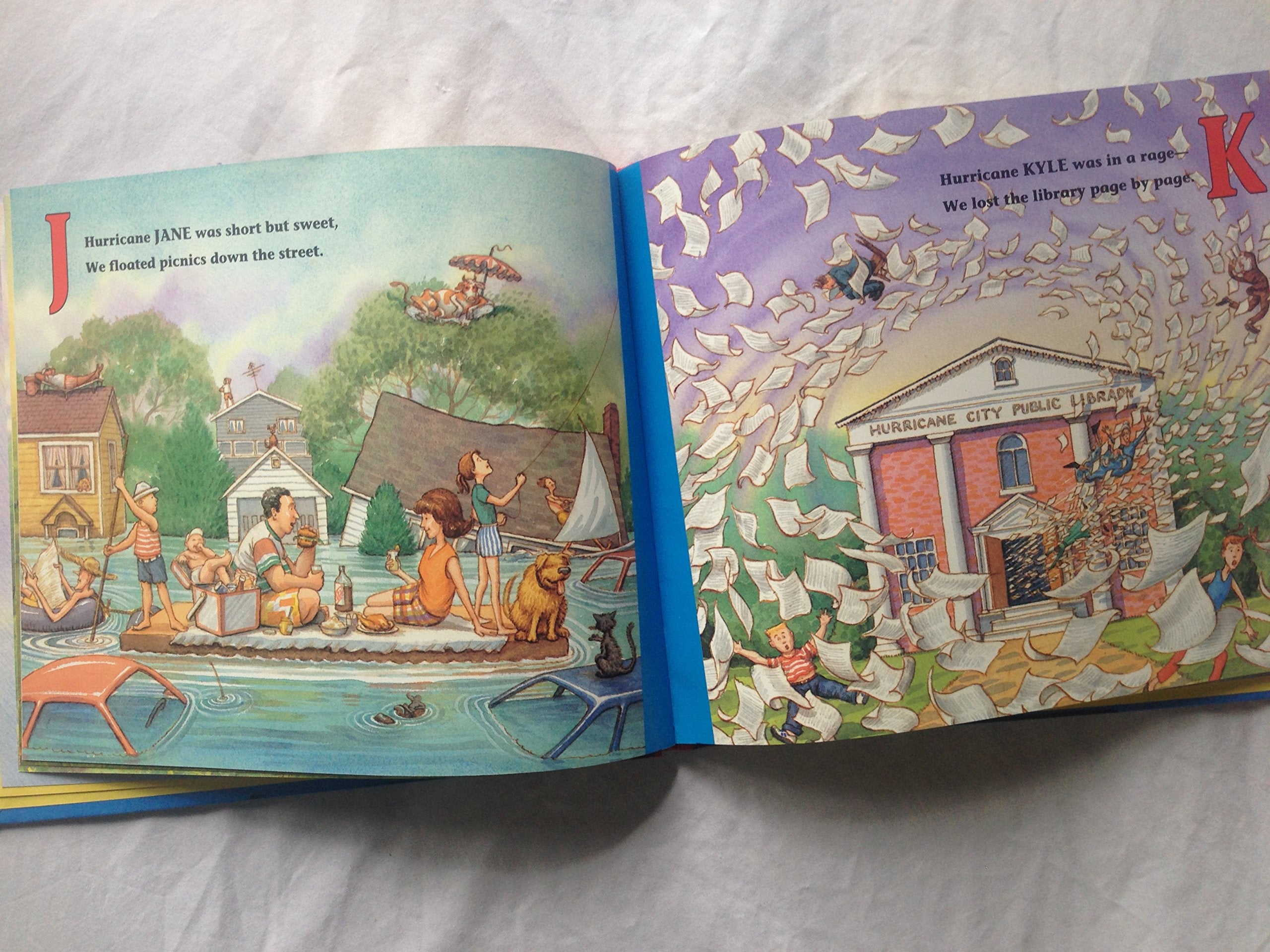 Hurricane City (A Laura Geringer Book),Used