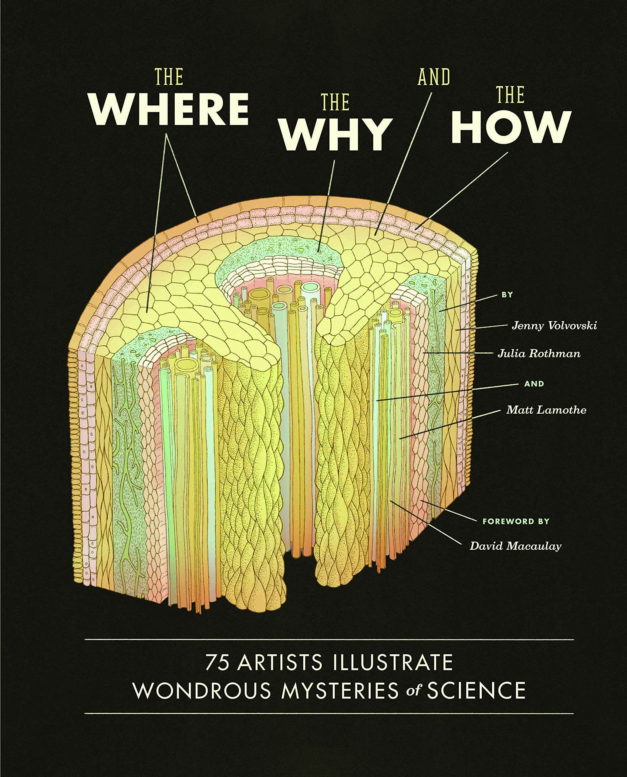 The Where, the Why, and the How: 75 Artists Illustrate Wondrous Mysteries of Science,Used