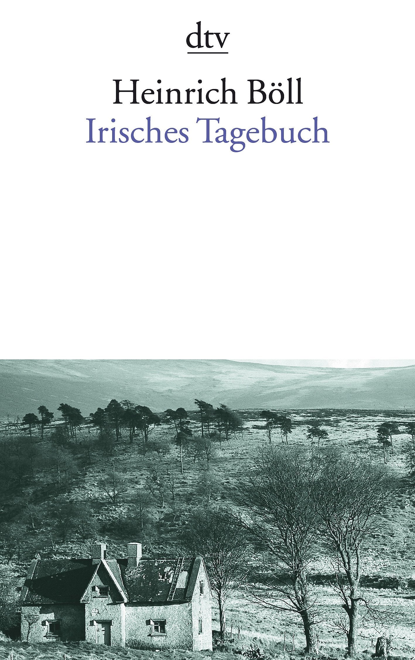 Irisches Tagebuch (German Edition),Used