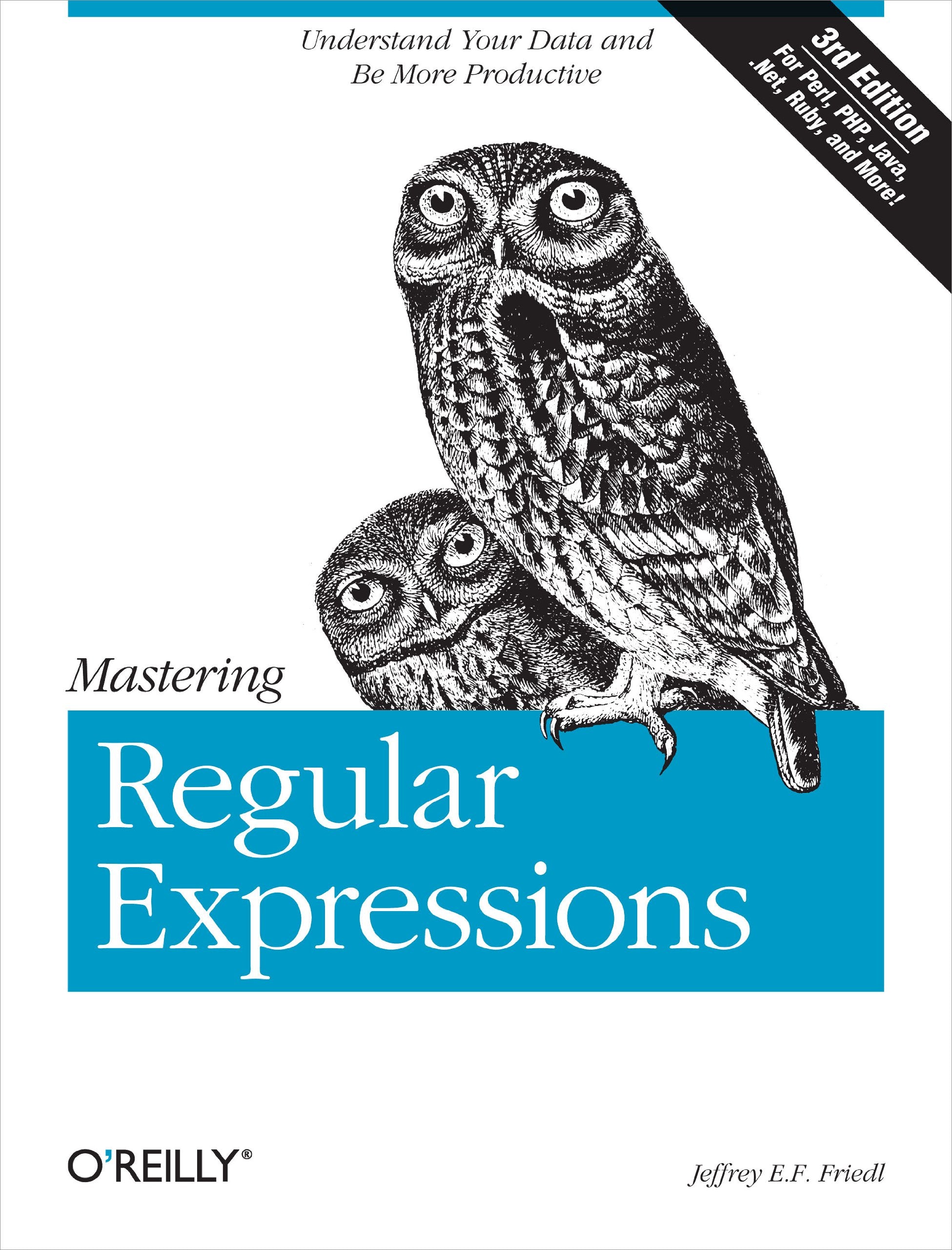 Mastering Regular Expressions: Understand Your Data And Be More Productive
