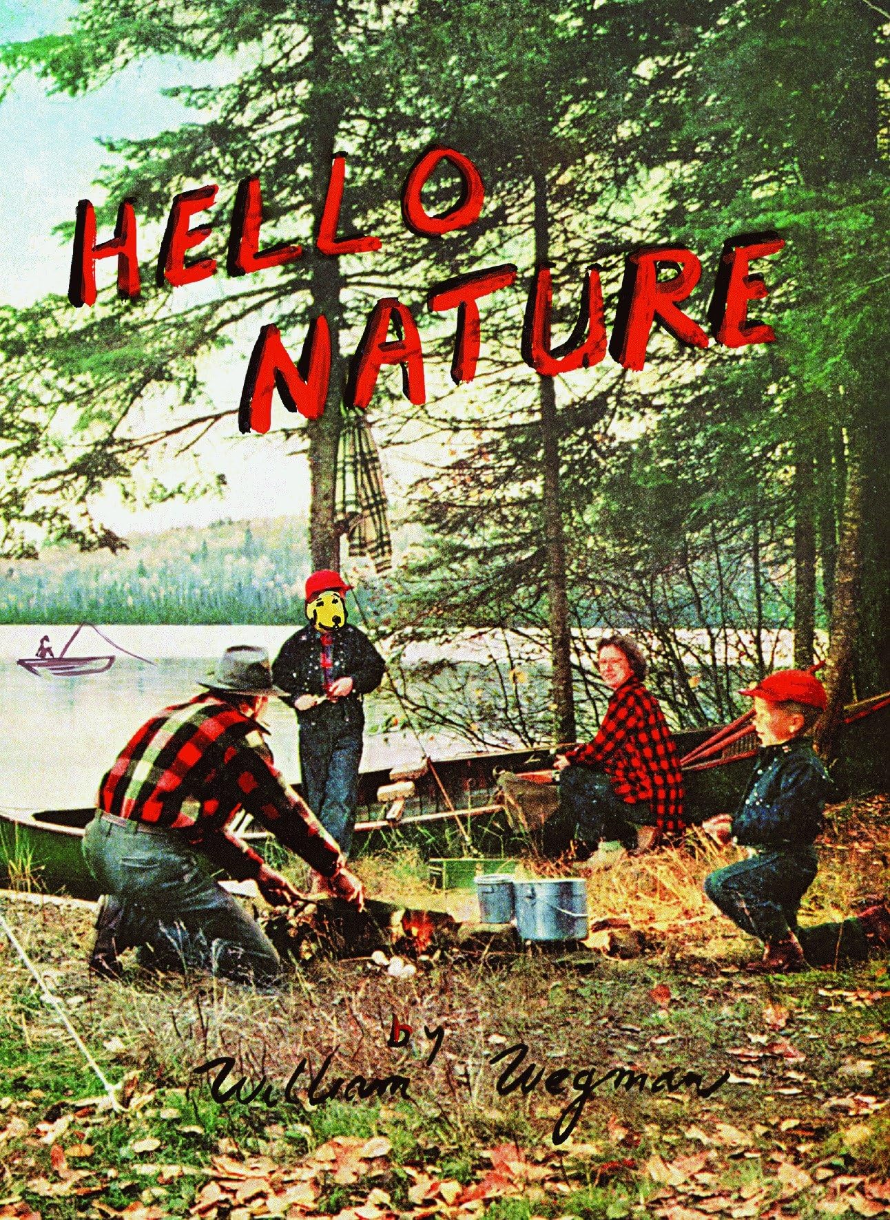 Hello Nature: How to Draw, Paint, Cook, And Find Your Way,Used