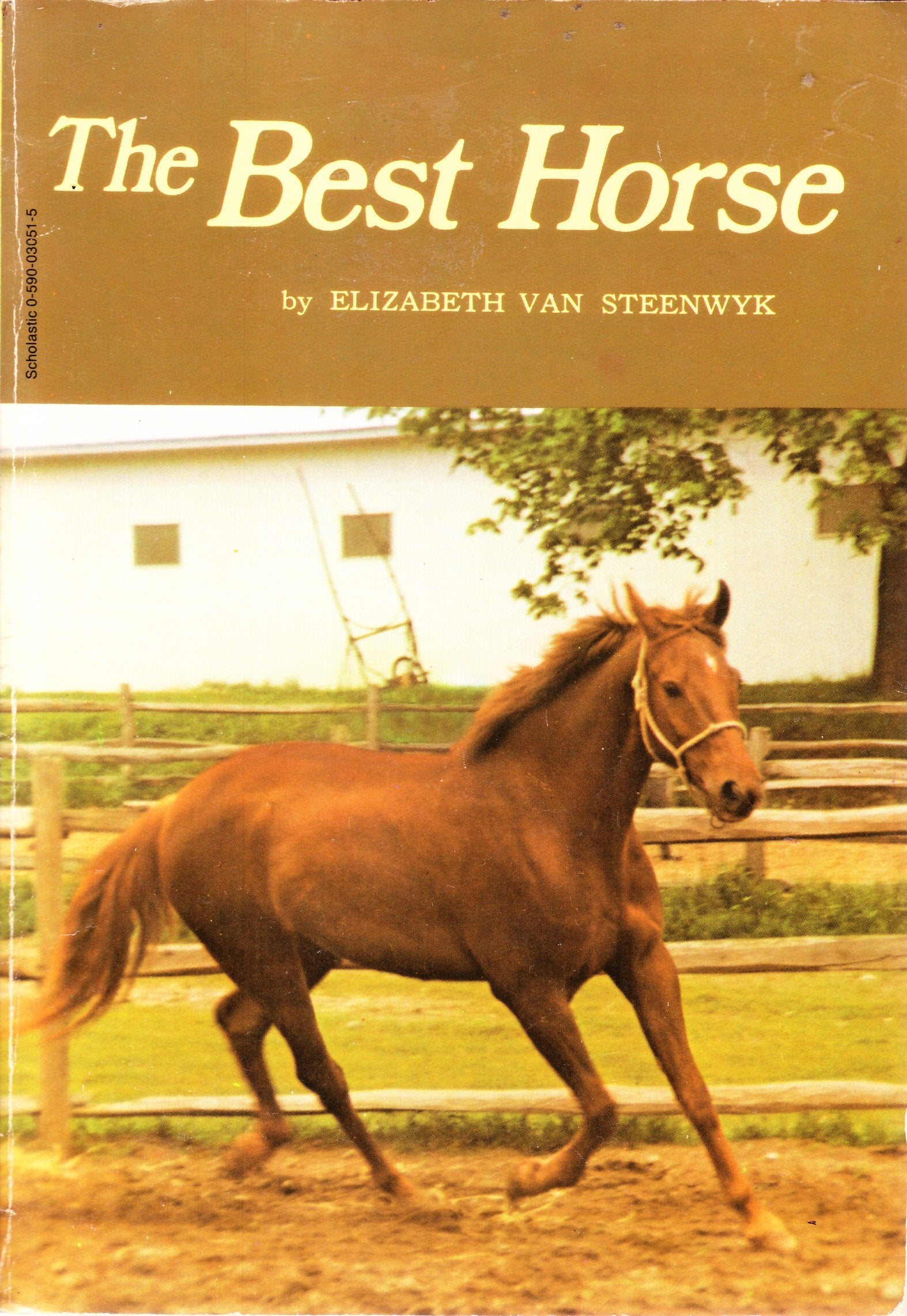 The Best Horse,Used