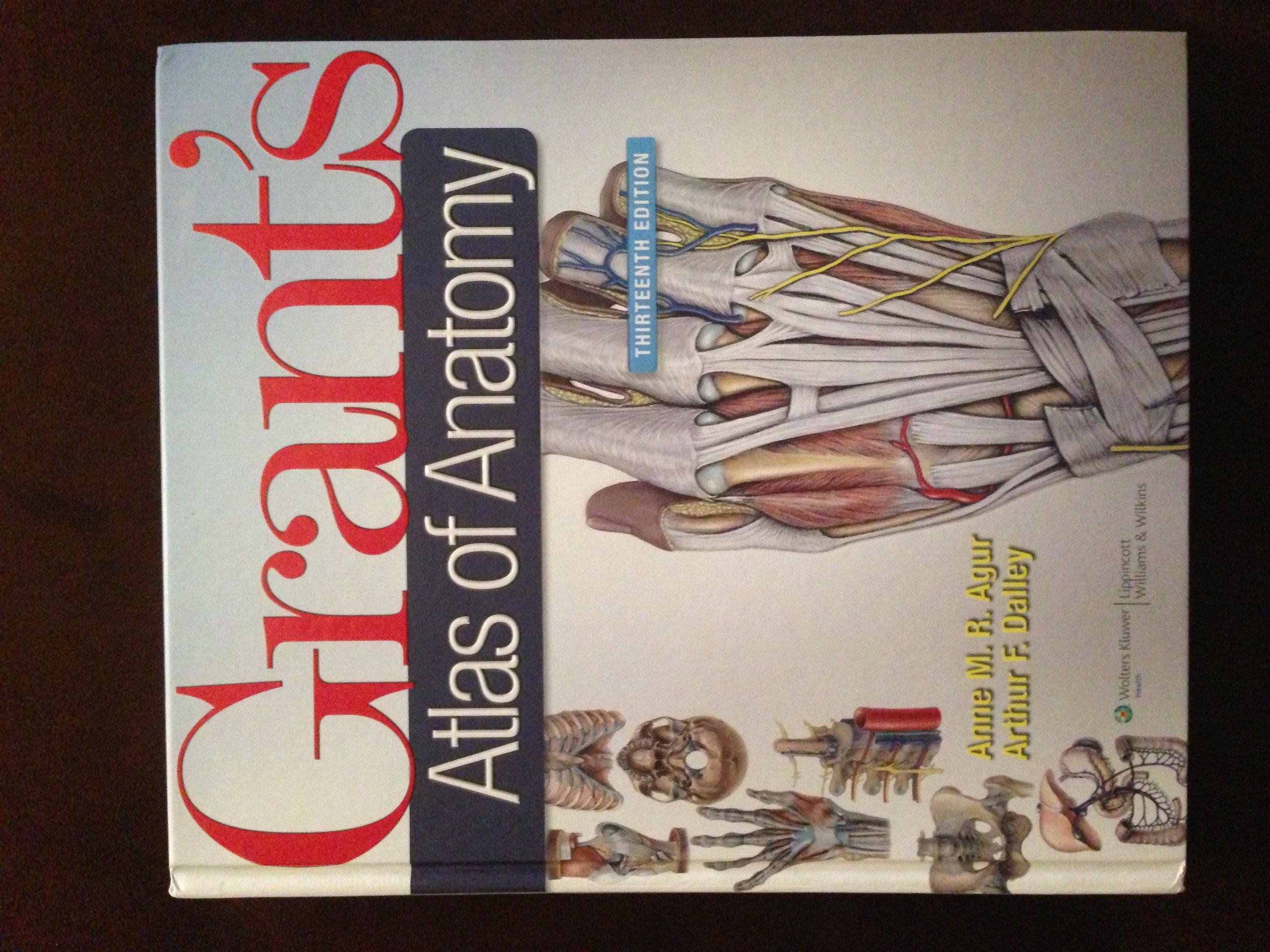 Grant's Atlas of Anatomy,Used