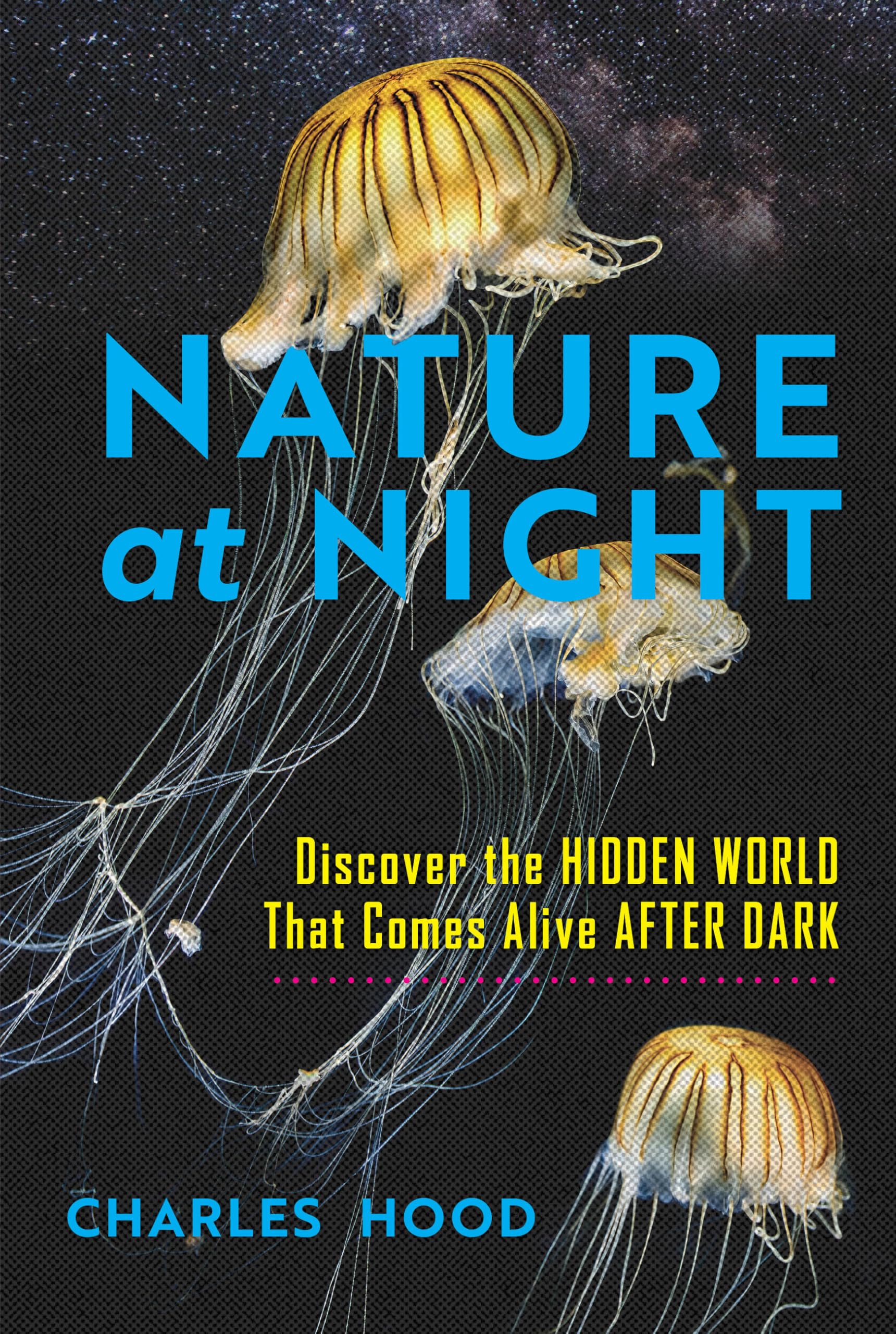 Nature At Night