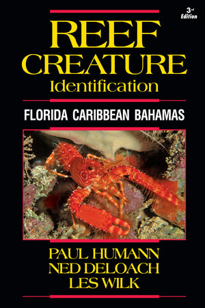 Reef Creature Identification  Florida Caribbean Bahamas  3Rd Edition (Reef Set (New World))