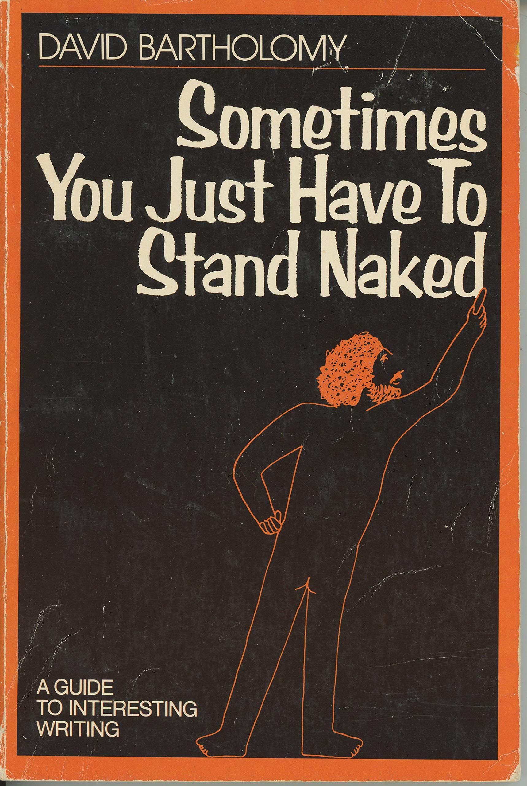 Sometimes You Just Have To Stand Naked: A Guide To Interesting Writing,New